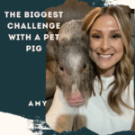 What are the Biggest Challenges with a Pet Pig?