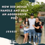 How Did Jessie Handle and Help an Aggressive Pig?