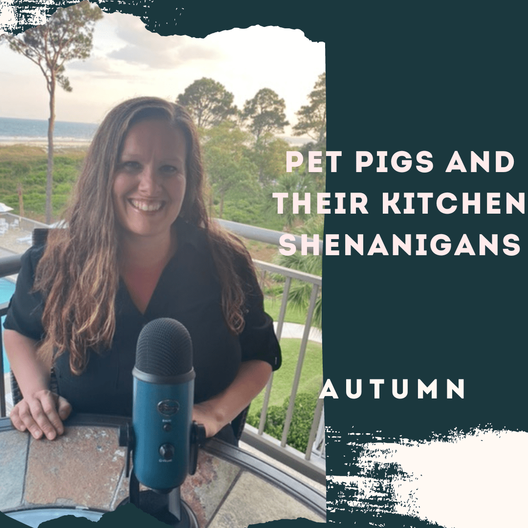 Pet Pigs and Their Kitchen Shenanigans