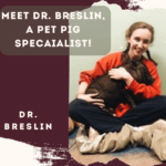 Meet Dr. Breslin, A Pet Pig Specialist!