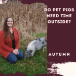 Do Pet Pigs Need Time Outside?