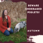 Beware Underaged Piglets!