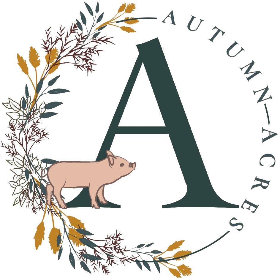 Autumn Acres Mini Pet Pigs