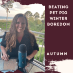 Beating Pet Pig Winter Boredom