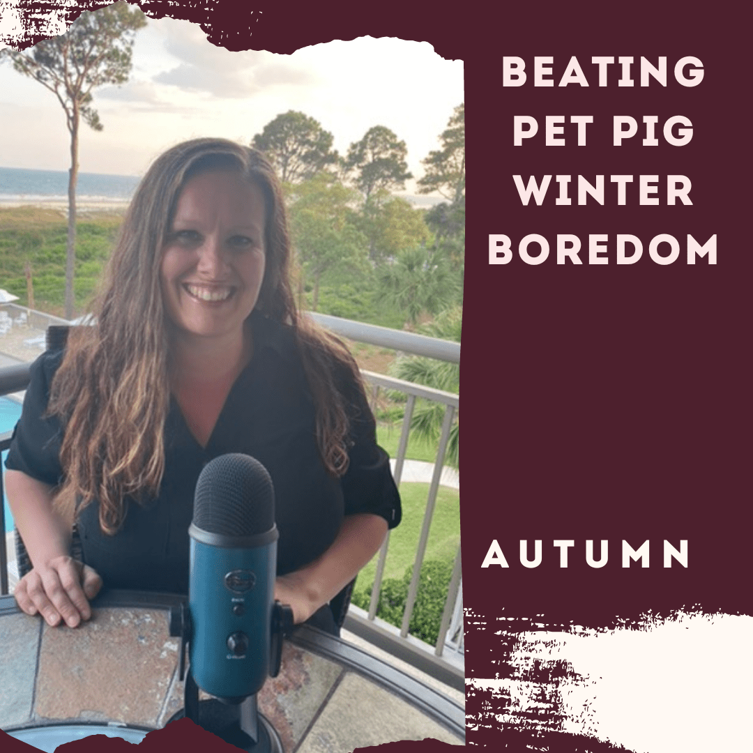 Beating Pet Pig Winter Boredom