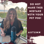 Do Not Make This Mistake With Your Pet Pig!