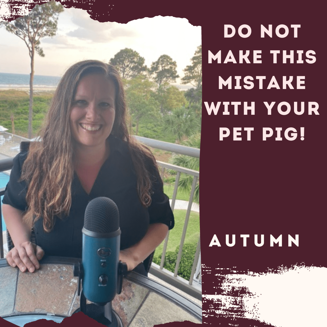 Do Not Make This Mistake With Your Pet Pig!