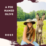 A Pig Named Olive