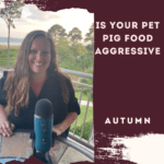 Is Your Pet Pig Food Aggressive?