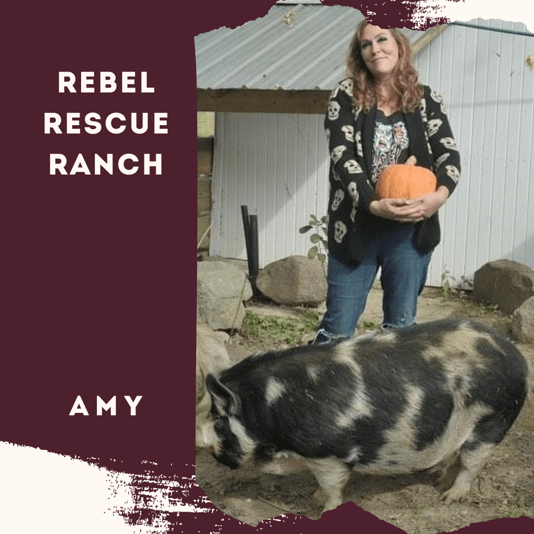 Rebel Rescue Ranch