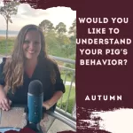Would You Like to Understand Your Pig’s Behavior?