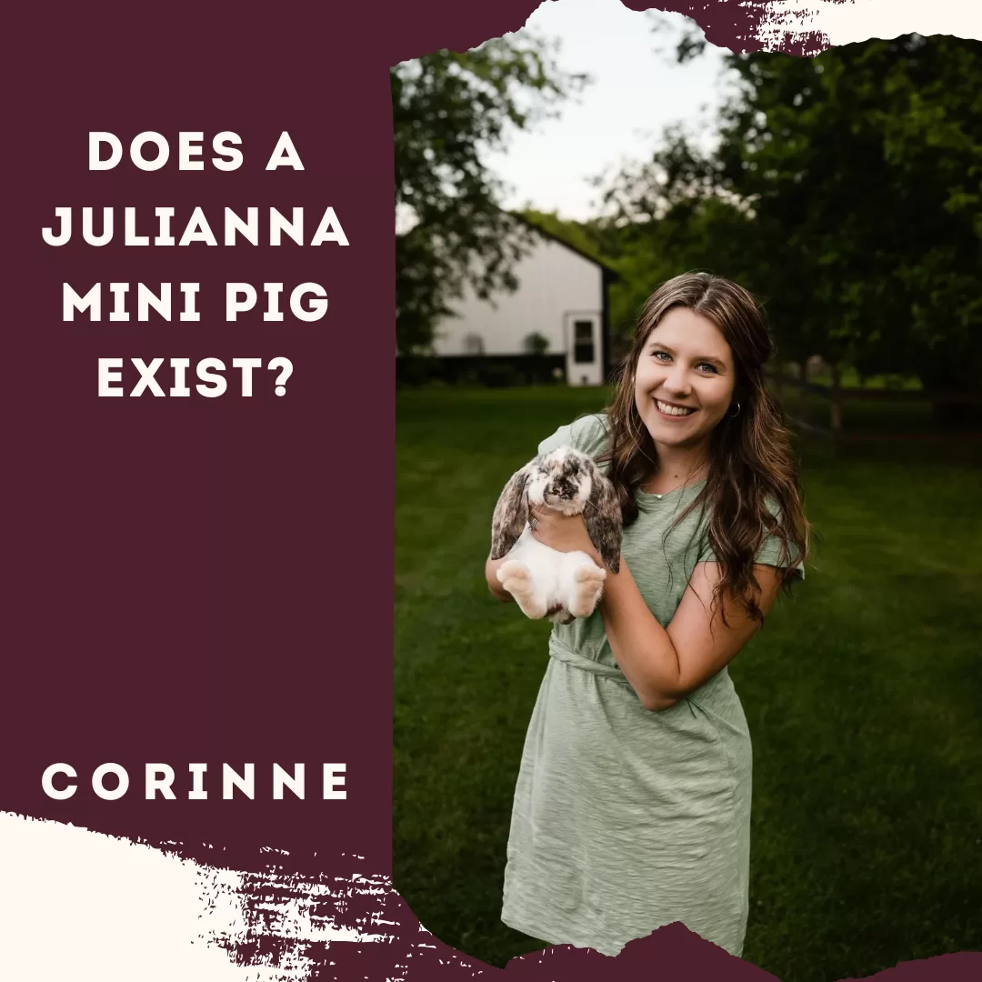 Does a Julianna Mini Pig Exist? With Corinne
