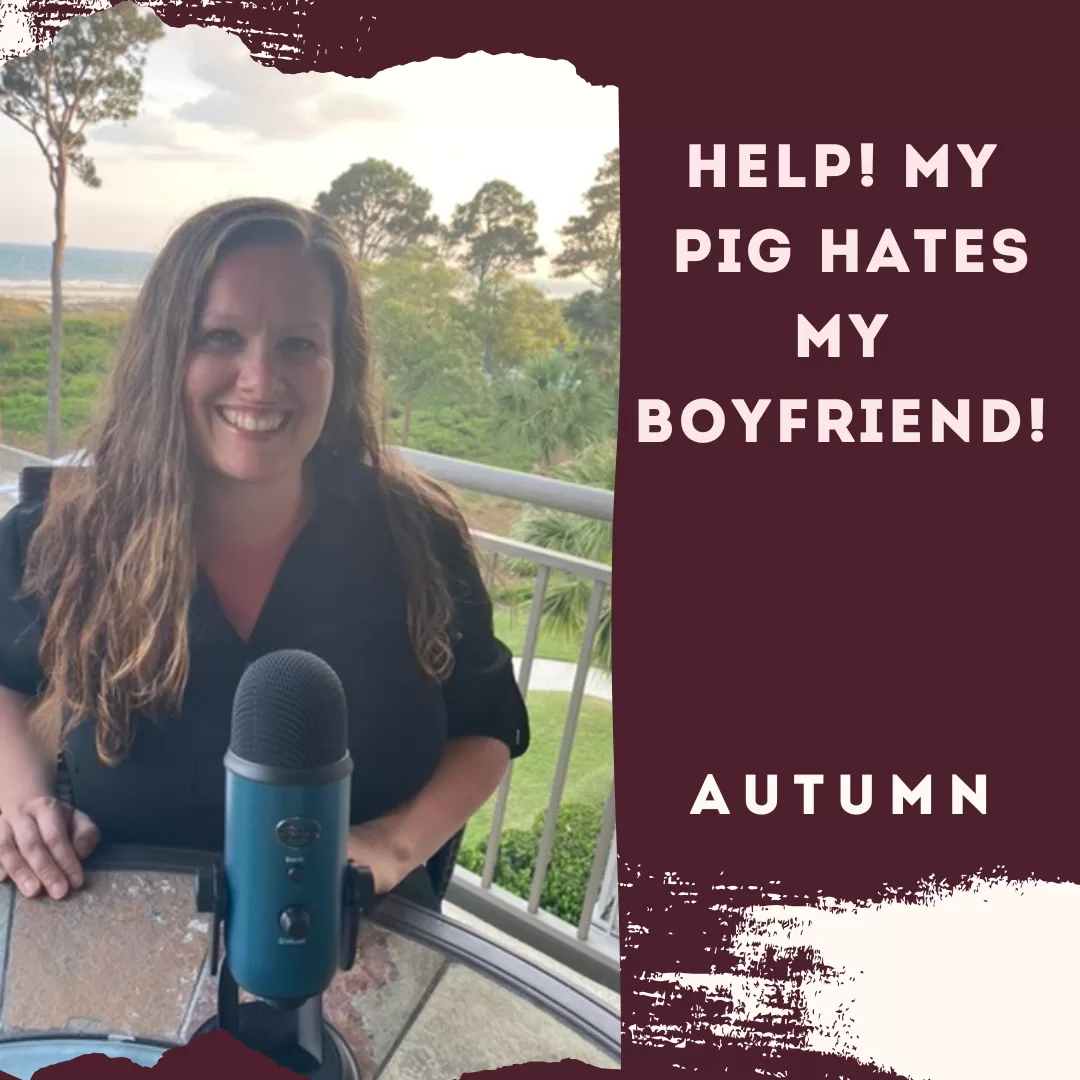 HELP! My Pig Hates My Boyfriend!