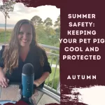 Summer Safety: Keeping Your Pet Pig Cool and Protected