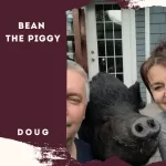Bean the Piggy