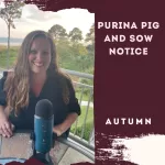 Purina Pig and Sow Notice