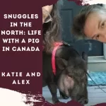 Snuggles in the North: Life with a Pig in Canada