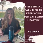 6 Essential Fall Tips to Keep Your Pig Safe and Healthy