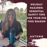 Holiday Hazards: Essential Safety Tips for Your Pig This Season