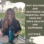 Why Spaying and Neutering is Essential for Your Pet Pig's Health and Happiness