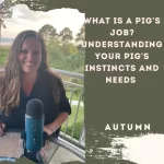 What Is a Pig's Job? Understanding Your Pig's Instincts and Needs