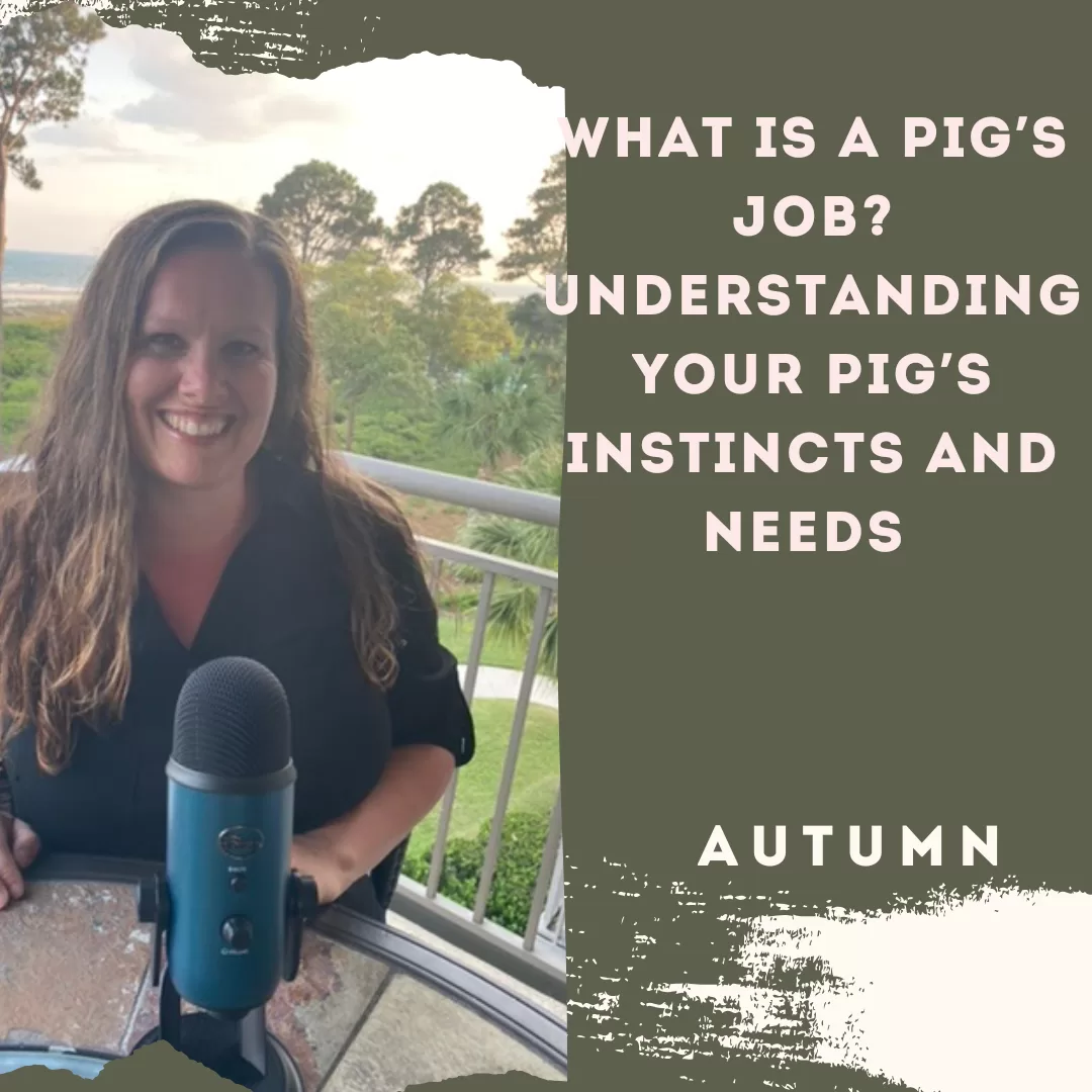 What Is a Pig’s Job? Understanding Your Pig’s Instincts and Needs