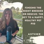 Finding the Right Breeder or Rescue: The Key to a Happy, Healthy Pet Pig