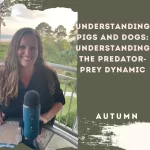 Understanding Pigs and Dogs: Understanding the Predator-Prey Dynamic