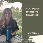 Mini Pigs: Myths VS Realities